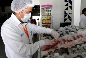 Hasta la fecha se han realizado 162 visitas de condiciones sanitarias a establecimientos de venta y preparaci&oacute;n de pescados y mariscos