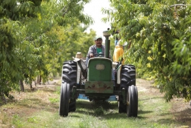 El estado ocupa el noveno lugar en mecanizaci&oacute;n del campo: SAGARPA 2017