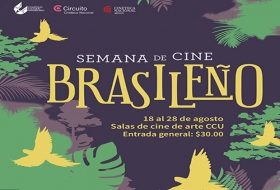 Cine brasile&ntilde;o