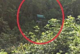 El veh&iacute;culo no volc&oacute;, solo avanz&oacute; de frente en la ladera, deteni&eacute;ndose con un &aacute;rbol.