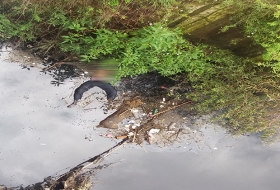 Encuentran cad&aacute;ver en r&iacute;o 