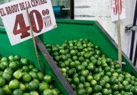 El lim&oacute;n con un alza de 47.40%