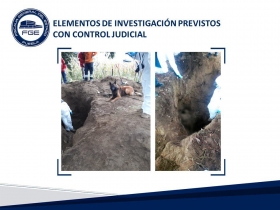 En octubre fueron detenidos seis integrantes de la organizaci&oacute;n delictiva