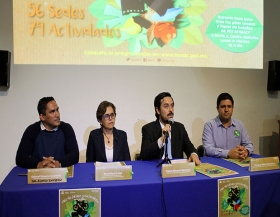 Realizar&aacute;n diversas actividades
