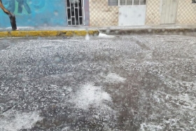 Varias calles se ti&ntilde;eron de blanco  