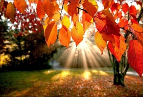 Entra el Oto&ntilde;o