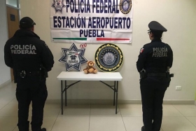Hab&iacute;a al menos 55 gramos de marihuana 