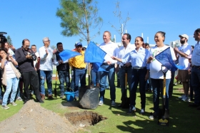 Se plantaron 50 mil &aacute;rboles de 1.5 a 4 metros.