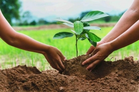 D&iacute;a Internacional de la Madre Tierra, ​celebrado el 22 de abril.