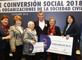 Programa de Coinversi&oacute;n Social para el desarrollo de actividades de las organizaciones sociales
