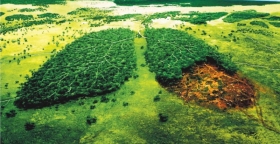 #D&iacute;a Mundial del Medio Ambiente