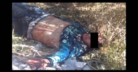 Fueron encontrados en los municipios de Amozoc, Teziutl&aacute;n y Tochtepec
