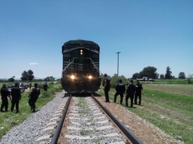 La mercanc&iacute;a recuperada fue puesta a disposici&oacute;n a la autoridad competente 