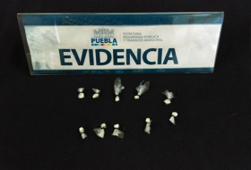 Envolturas con coca&iacute;na